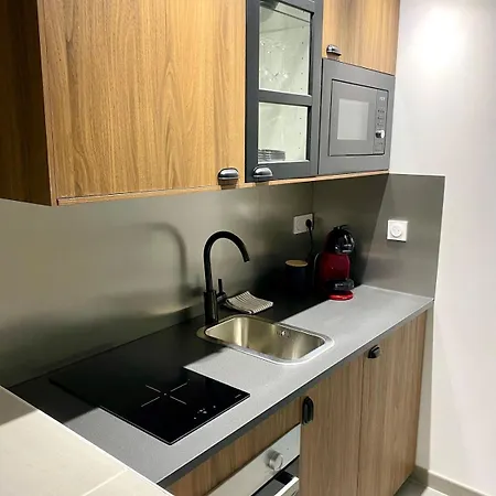 Hyper-centre Le Casa Dauphine Apartman *