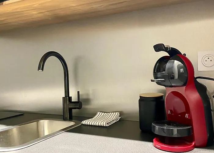 Hyper-centre Le Casa Dauphine Apartment